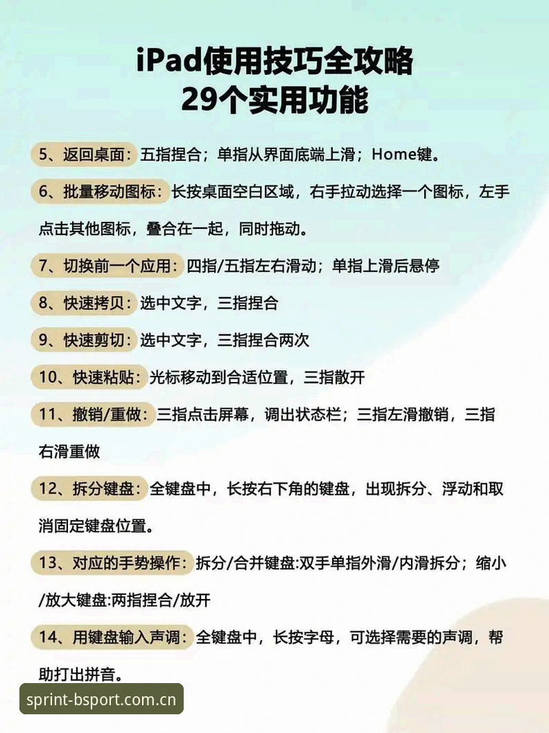 B体育平台使用教程：从官网入口到软件安装的完整操作指南